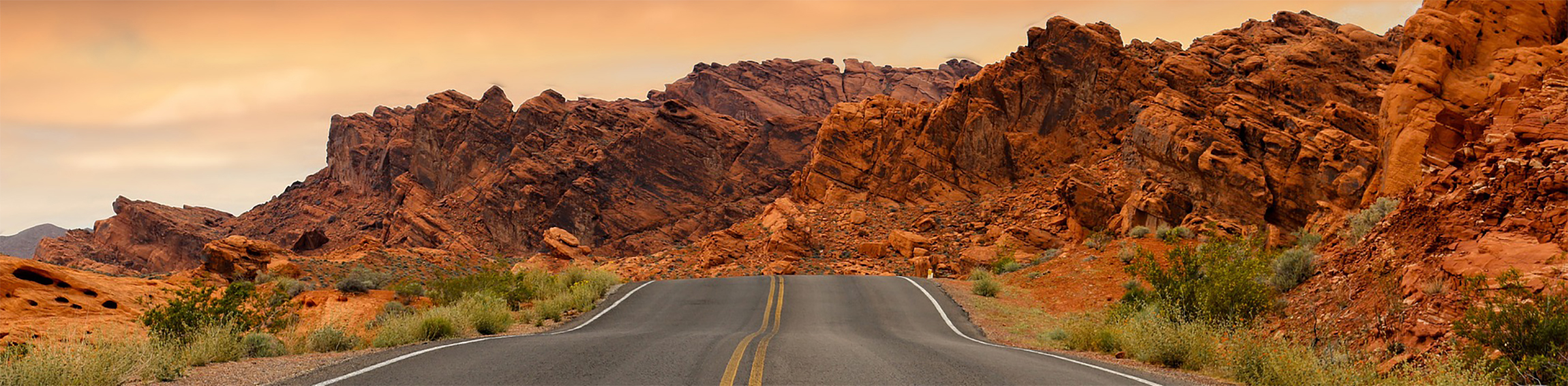 USA Tours 2024/2025 Escorted Holidays