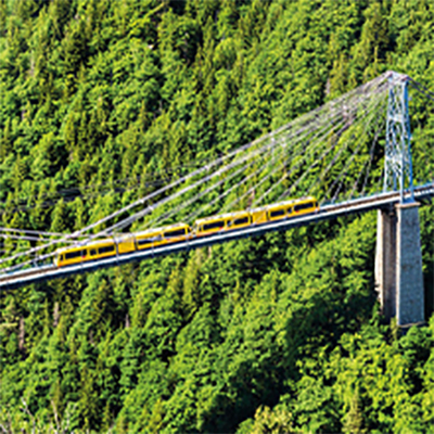 Little Trains of the Pyrenees