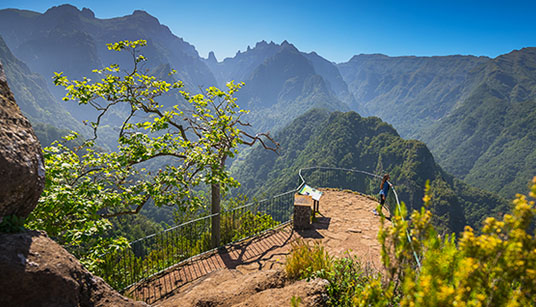 Walking Madeira's Levadas