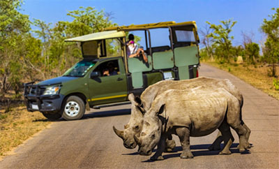 escorted tours africa