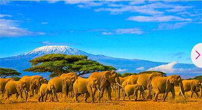 Tanzania Tours