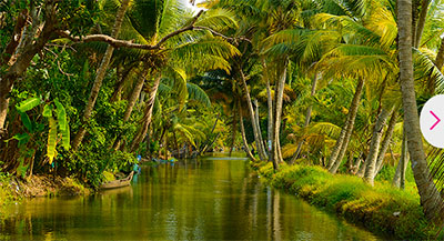 Holiday Tours Wonders of South India
